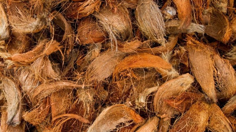 Outer Fibrou Coconut Husk
