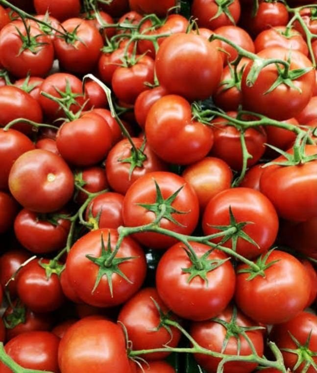 Fresh Red Tomato