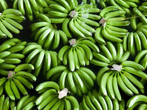 Fresh Cavendish Banana