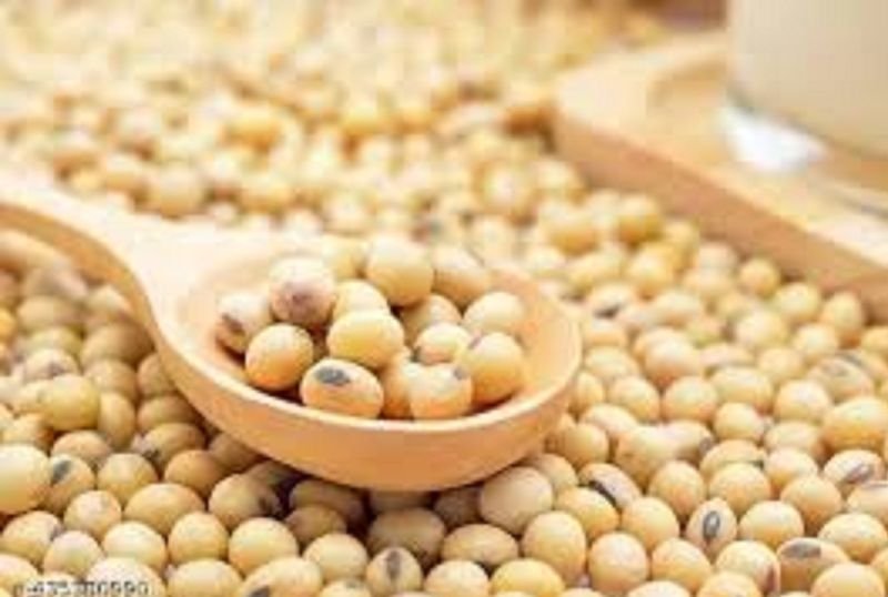 Soybean Seeds