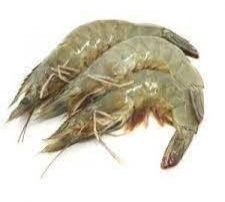 Frozen Headless Prawns Shrimp