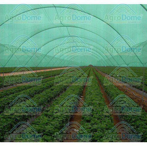 Green Shade Net House