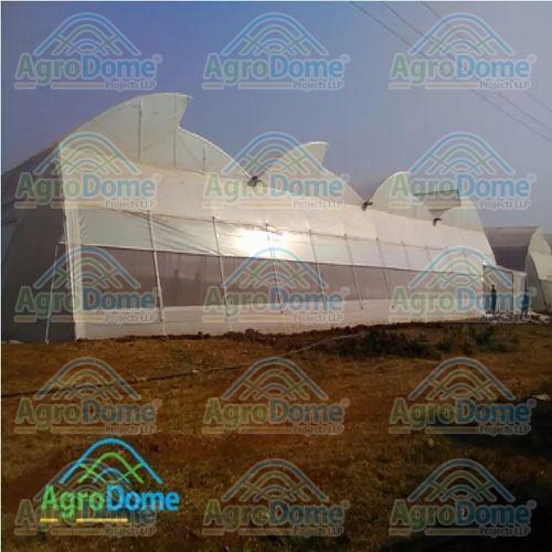 Multi Span Poly Tunnel Green House
