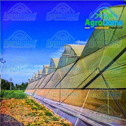 Agriculture Green House