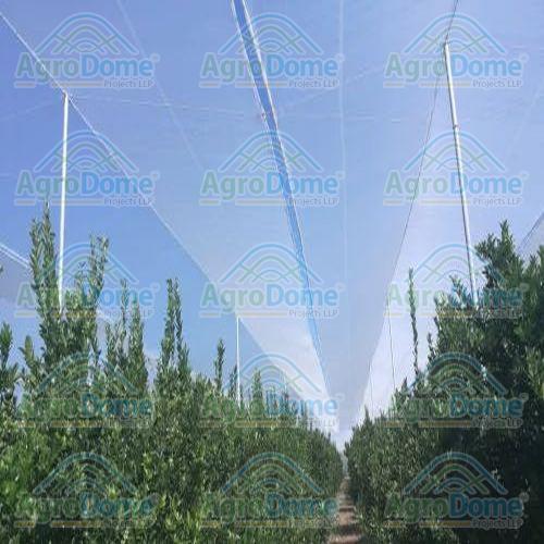 Shade Net House for Orange Orchards