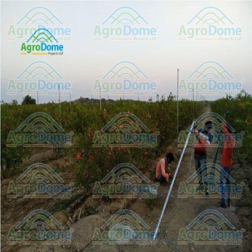 Shade Net House For Pomegranate Orchards