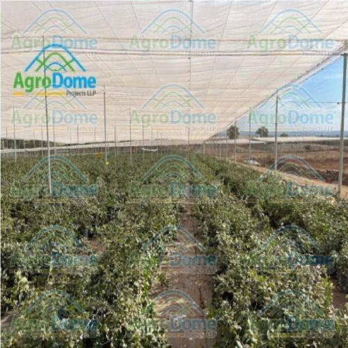Shade Net House Structure for Orchards
