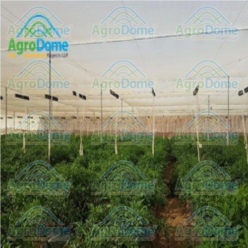 Wire Rope Flat Roof Shaded Net House