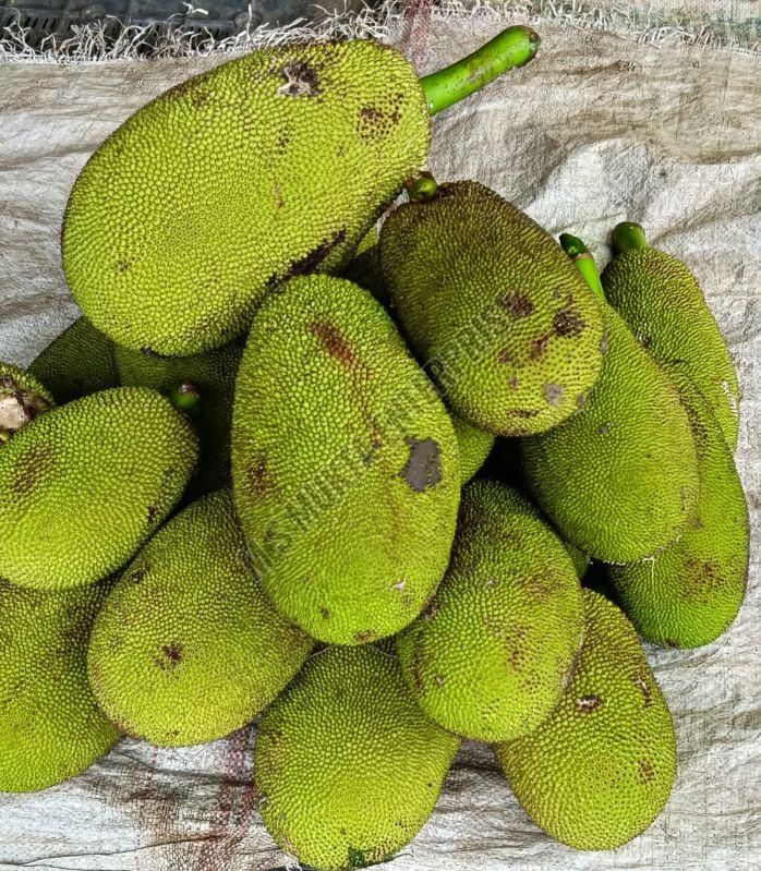 A Grade Fresh Jackfruit