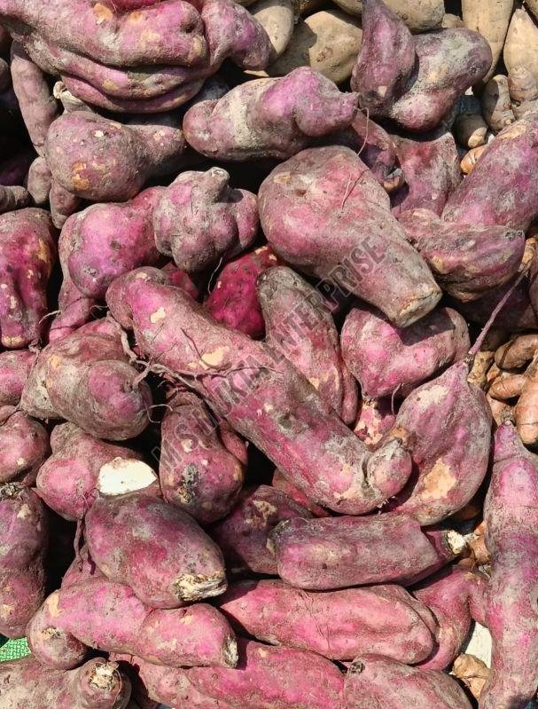 Red A Grade Sweet Potato