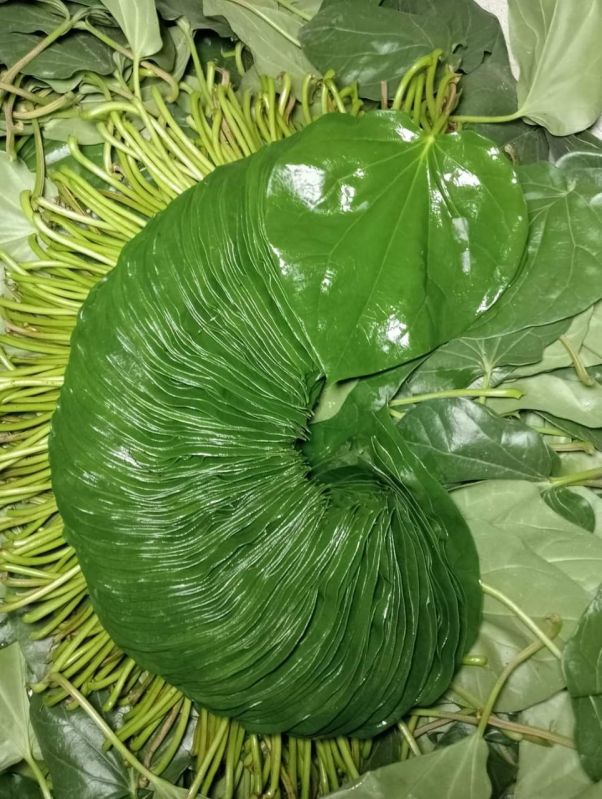 Sweet Betel Leaves