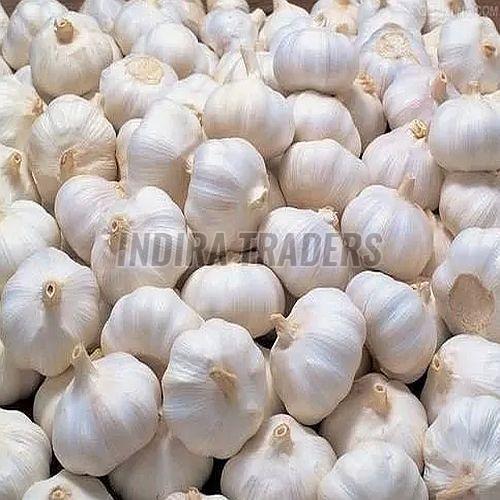 Fresh Vegetables
