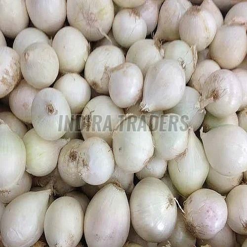 A Grade Fresh White Onion