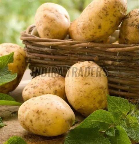 Fresh Potato