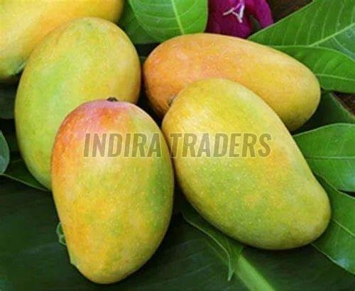 Fresh Indian Kesar Mango
