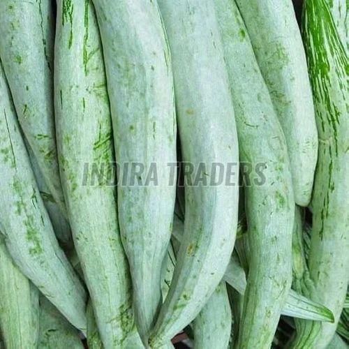 Fresh Snake Gourd
