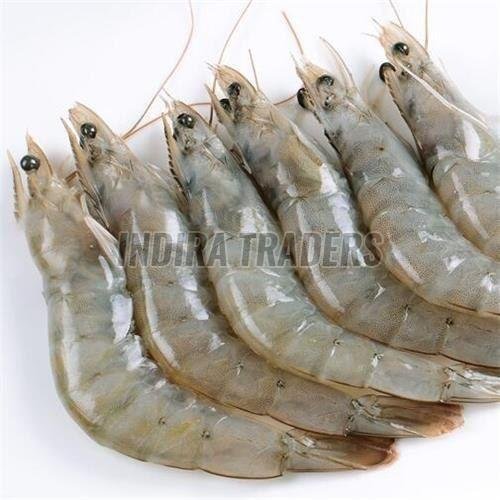 frozen vannamei shrimp