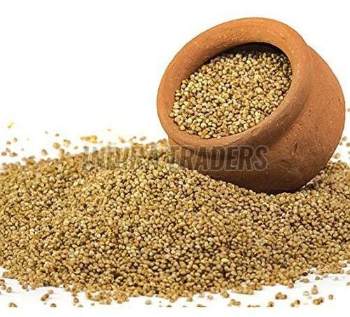 Kodo Millet Seeds