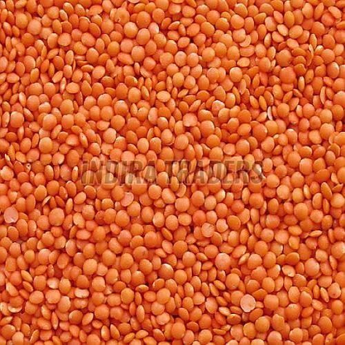 Red Whole Masoor Dal