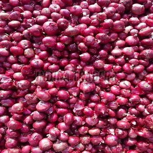 Small Fresh Red Onion