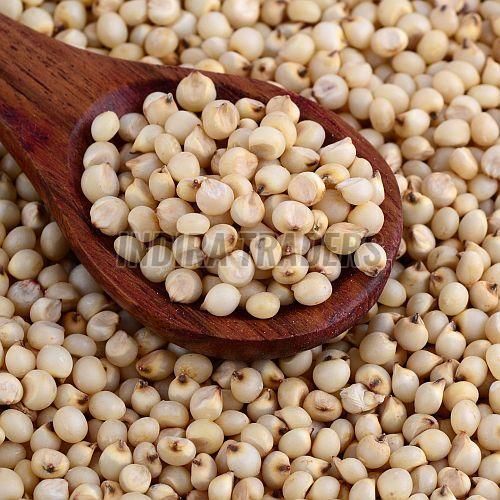 Sorghum Millet Seeds