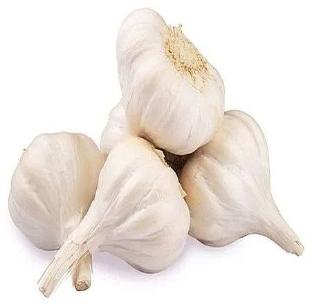 A Grade White Fresh Garlic