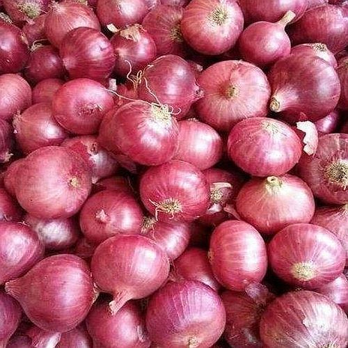 Maharashtra A Grade Fresh Pink Onion