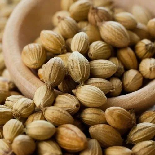 A Grade Coriander Seeds