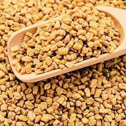 A Grade Fenugreek Seeds