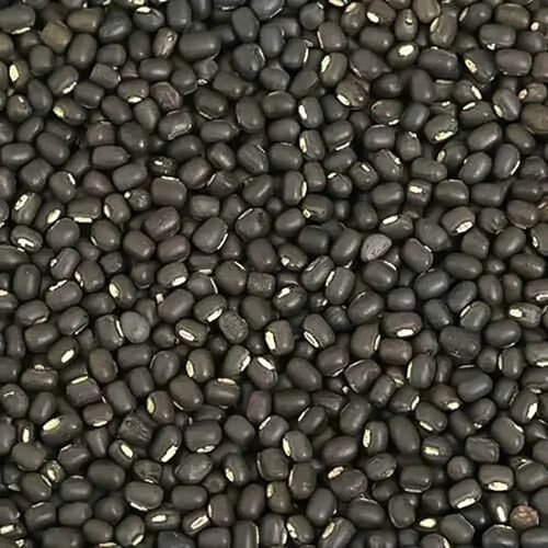 Black Whole Urad Dal