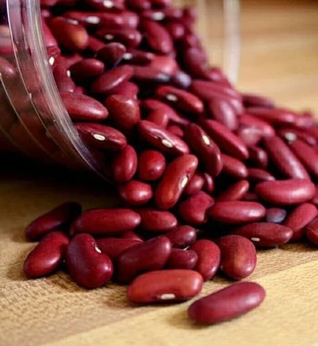 Red Jammu Rajma