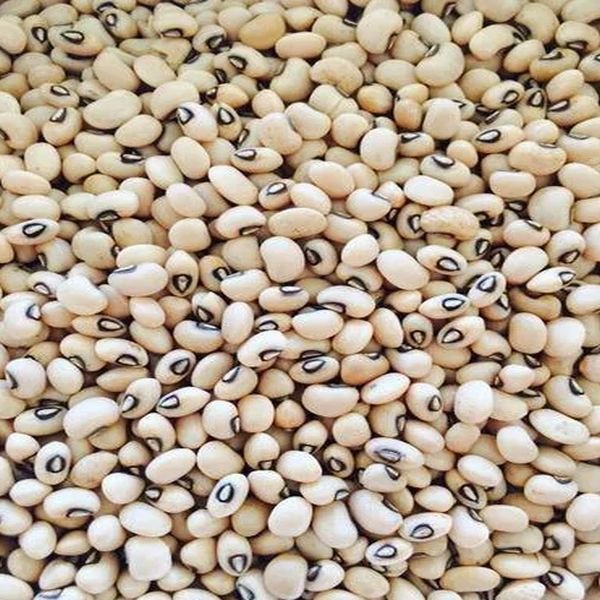 White And Black A Grade Lobia