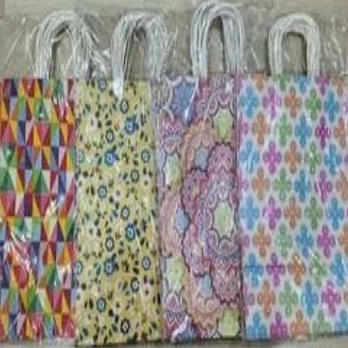 Printed Paper Gift Bag