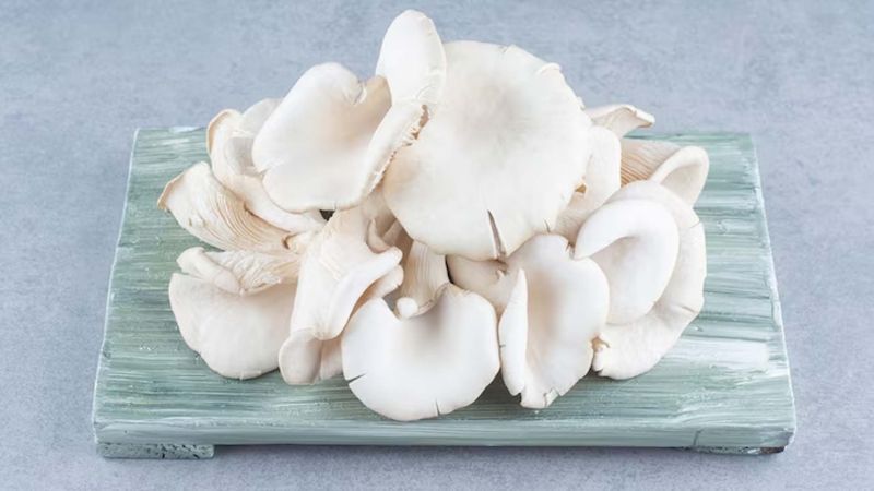 Fresh White Oyster Mushroom