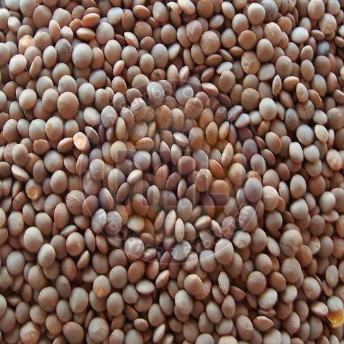 Brown Masoor Dal