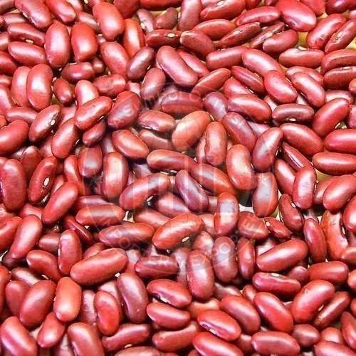 Premium Quality Red Kidney Beans