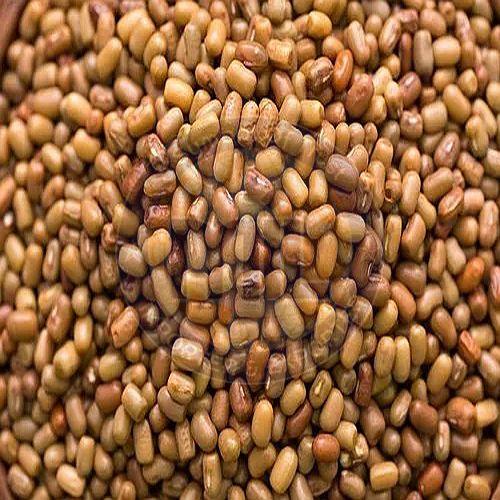 Indian Pulses