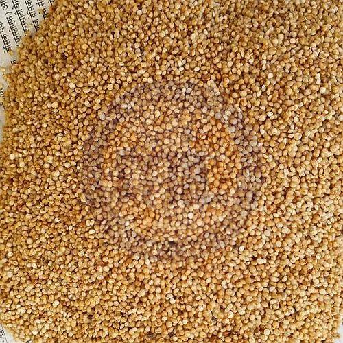 Kodo Millet Seeds