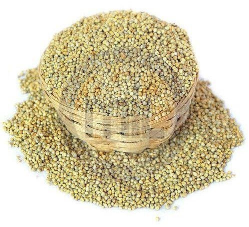 Pearl Millet Seeds