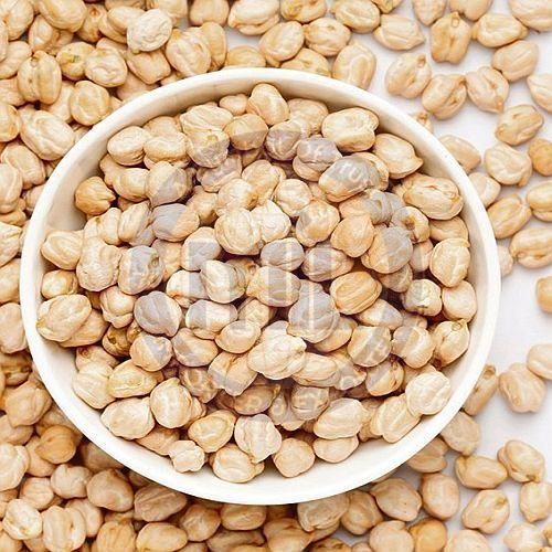 Premium Quality White Chickpeas