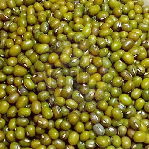 Premium Quality Whole Green Moong Dal