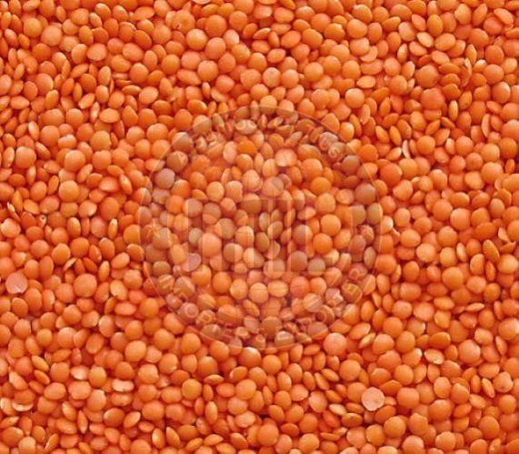 Red Whole Masoor Dal