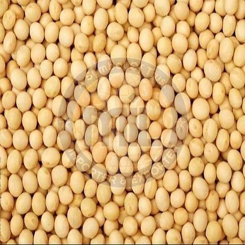 Whole Dried Yellow Peas