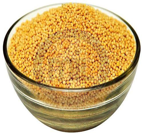 Yellow Mustard Seeds