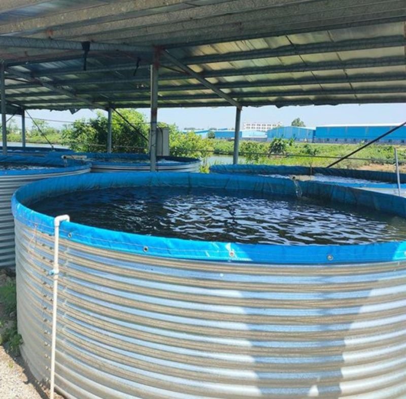 Galvanized Steel Fish Tanks