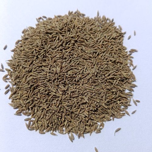 European Quality Cumin Seeds