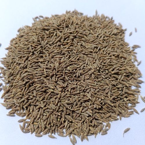 Singapore Quality Cumin Seeds