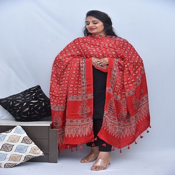 Red Modal Silk Ajrakh Hand Block Printed Dupatta