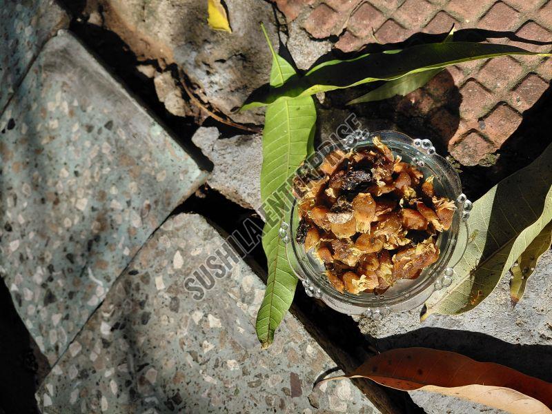 Madhuca Longifolia Mahua Flower