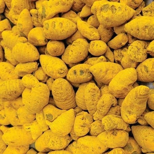 Dried Turmeric Bulb